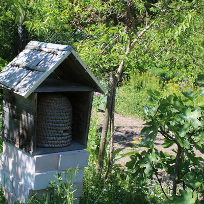 Bild vergrößern: Bienenkorb in Müllers Bauerngarten in der Ausstellung Leben und Arbeiten früher